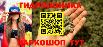 индика Нарткала