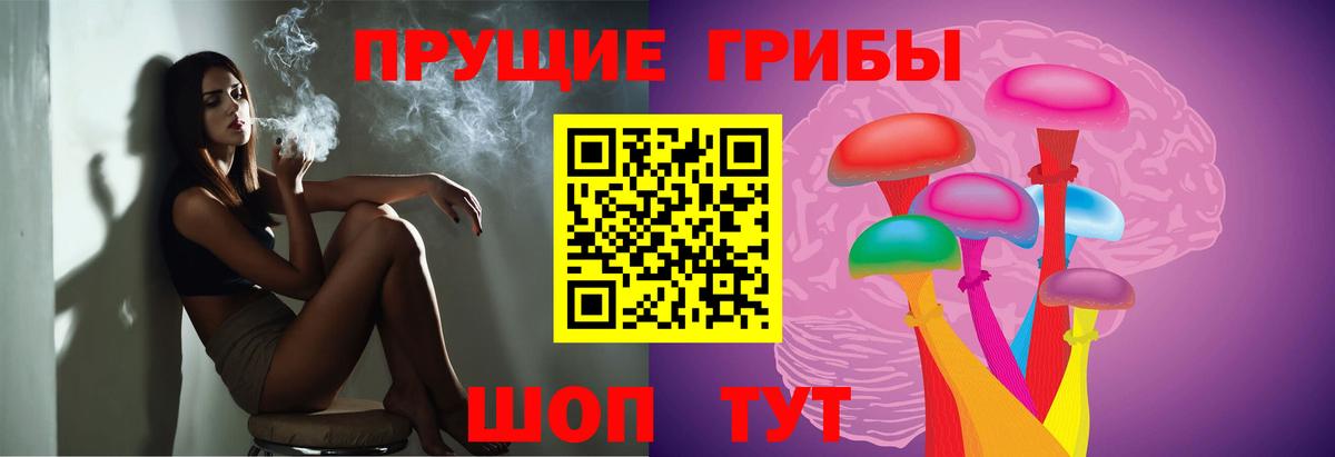 Галлюциногенные грибы Cubensis  Вход с VPN  сколько стоит  Менделеевск 